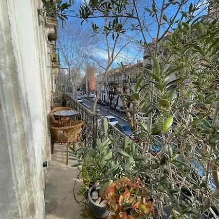 Experience Montpellier, Beaches And Hinterland * Montpellier